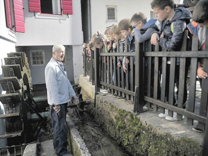 Novi list: Djeca učila kako nastaje kruh od zrna do pogače