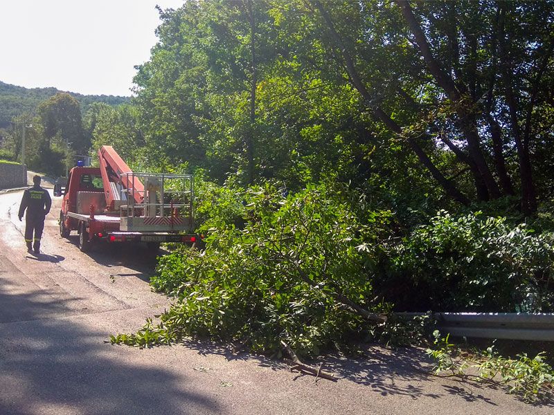 Detaljno se čisti raslinje uz kolnik