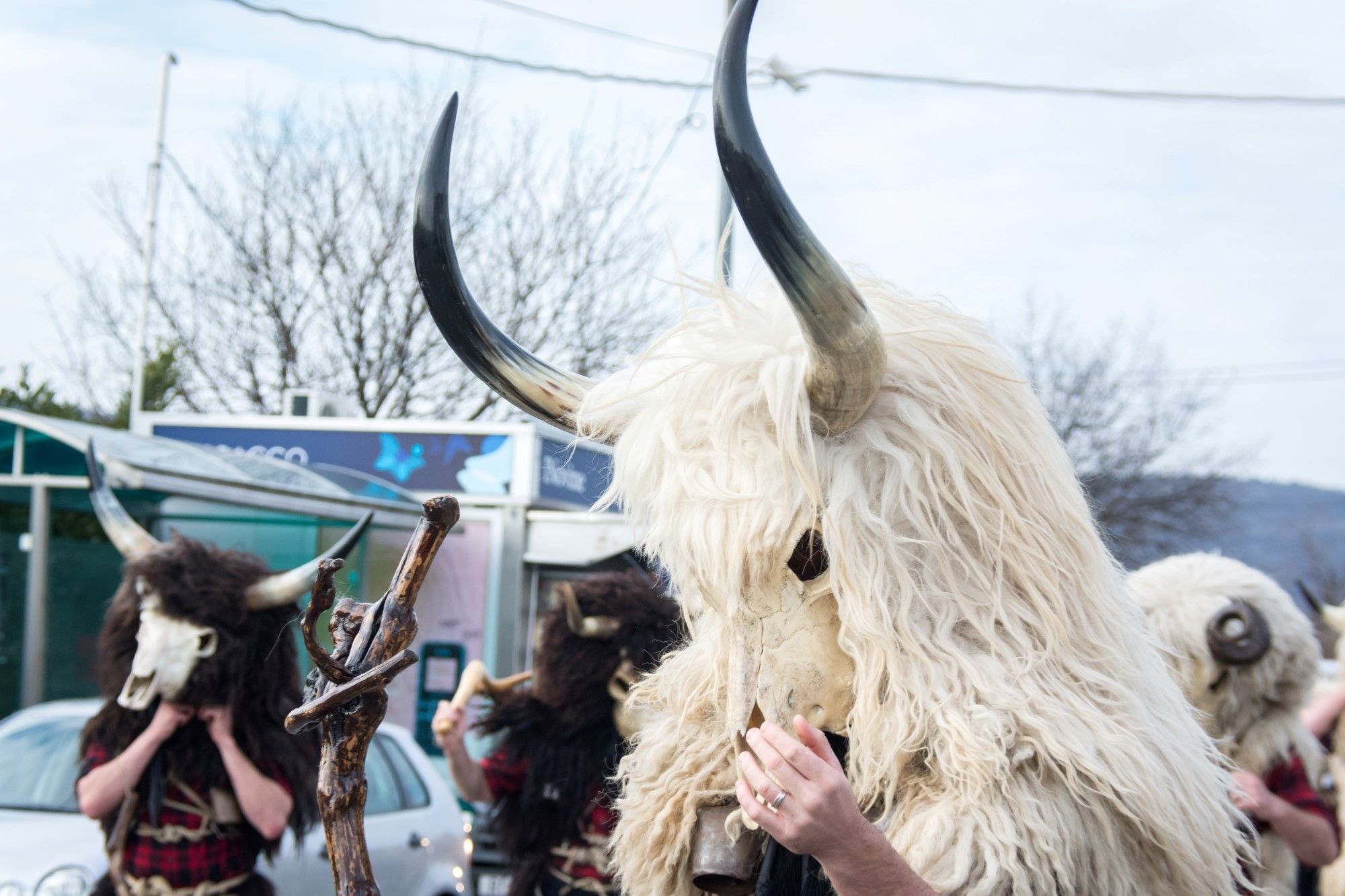 14.01.2017. - Grobnički dondolaši: Obahajanje Općine Jelenje
