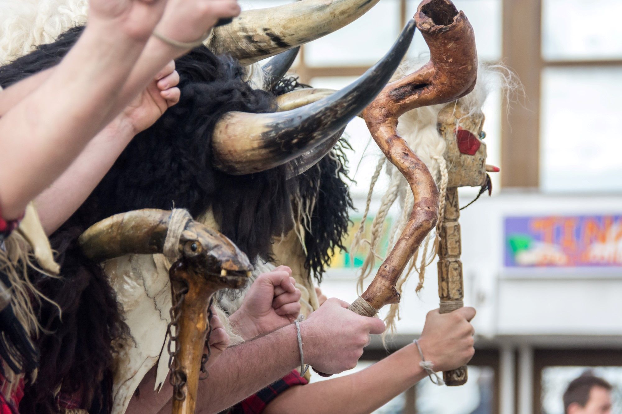 14.01.2017. - Grobnički dondolaši: Obahajanje Općine Jelenje