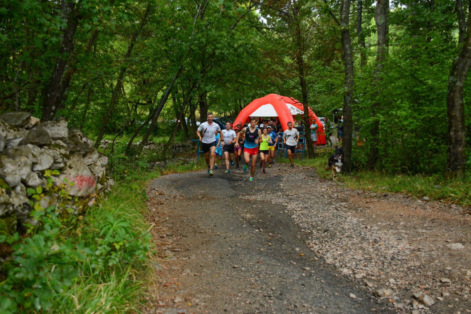 01.09.2018. -  6. Hahlić za uru