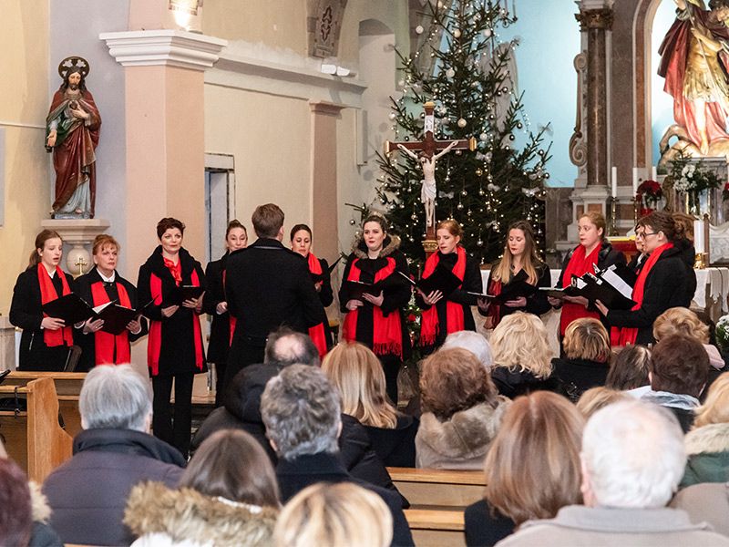 U noći zvjezdanoj: Božićni koncert Vokalne skupine Zvir za sve generacije